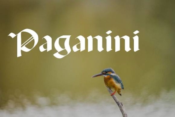 Paganini Font: A Bold Gothic Typeface for Striking Designs