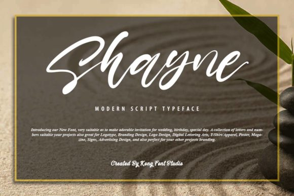 Shayne: A Playful Handwritten Script for Modern Designs